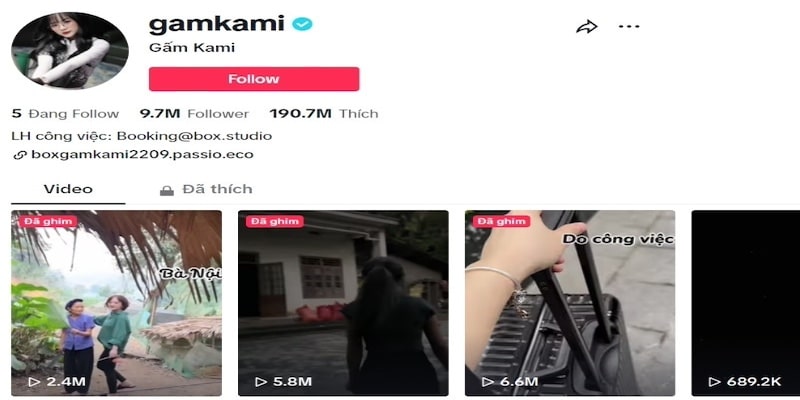 TikTok Influencer hot Gấm Kami