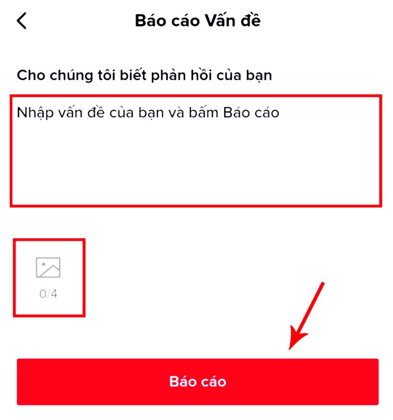 Cách lấy lại tài khoản bị TikTok bị cấm