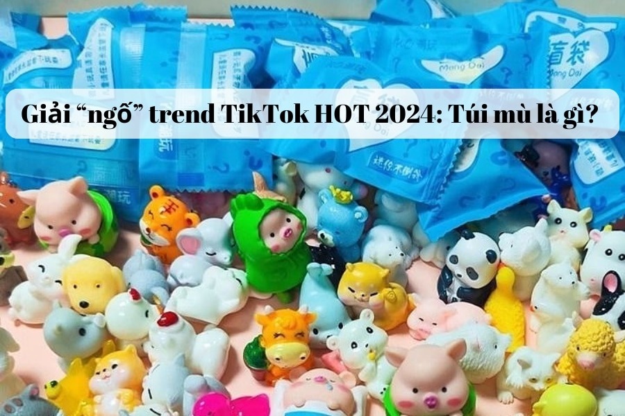 Giải “ngố” trend TikTok HOT 2024: Túi mù là gì?